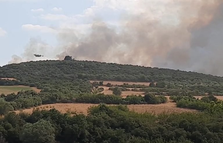 Μεγάλη-φωτιά-στις-Σέρρες:-Ενισχύθηκαν-οι-δυνάμεις-στη-Νιγρίτα-–-Στη-“μάχη”-7-αεροσκάφη-και-3-ελικόπτερα