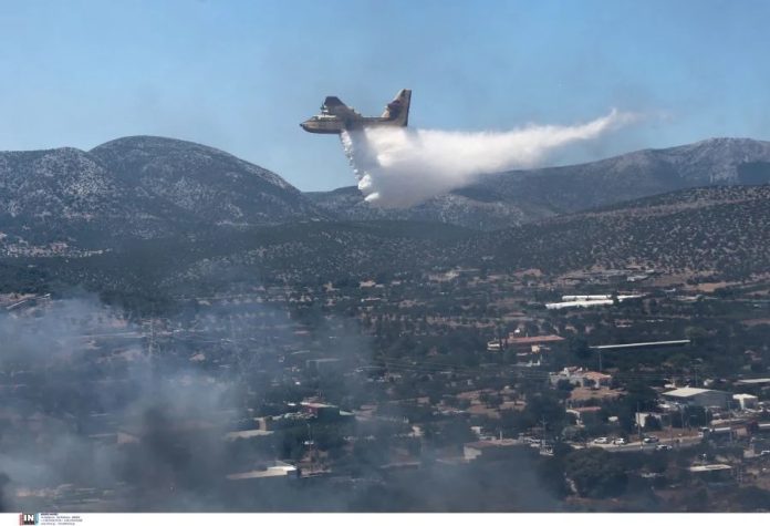 Πυροσβεστική-–-Βαθρακογιάννης:-«Σχεδόν-κάθε-10-λεπτά,-ξεσπάει-και-μία-νέα-φωτιά»