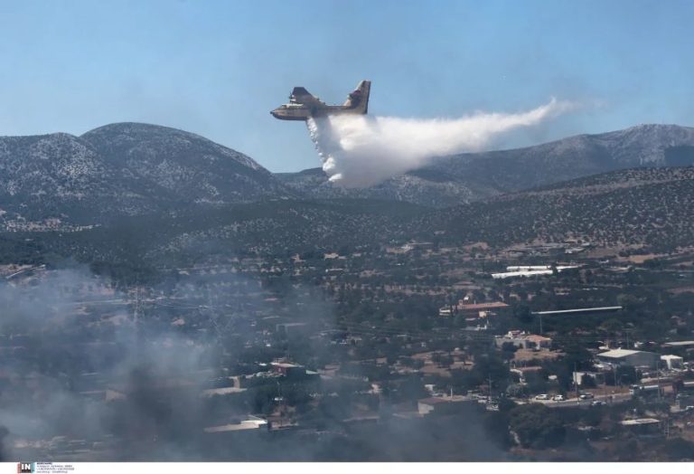 Πυροσβεστική-–-Βαθρακογιάννης:-«Σχεδόν-κάθε-10-λεπτά,-ξεσπάει-και-μία-νέα-φωτιά»