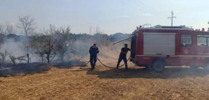 Φωτιά-κοντά-στην-περιοχή-του-Παραδείσου–-Συναγερμός-στην-Πυροσβεστική-Υπηρεσία-Χρυσούπολης-και-στην-Πολιτική-Προστασία-του-Δ.Νέστου Φωτιά-κοντά-στην-περιοχή-του-Παραδείσου–-Συναγερμός-στην-Πυροσβεστική-Υπηρεσία-Χρυσούπολης-και-στην-Πολιτική-Προστασία-του-Δ.Νέστου