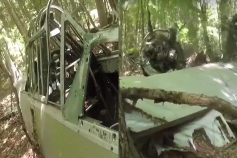 Δράμα:-Βρέθηκε-μαχητικό-αεροσκάφος-77-χρόνια-μετά-την-πτώση-του-στο-δάσος-Φρακτού