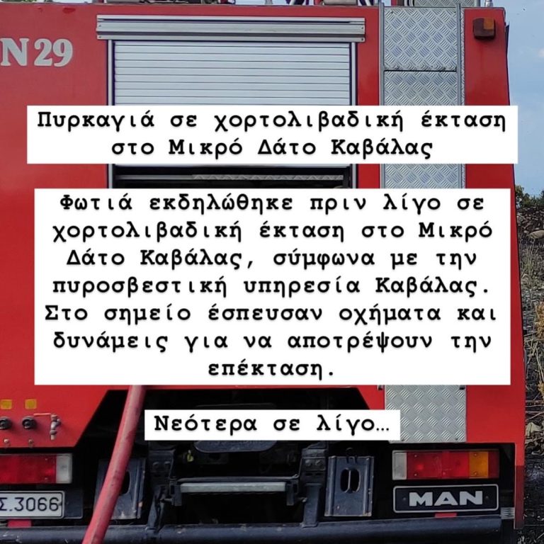 Πυρκαγιά-σε-χορτολιβαδική-έκταση-στο-Μικρό-Δάτο-Καβάλας