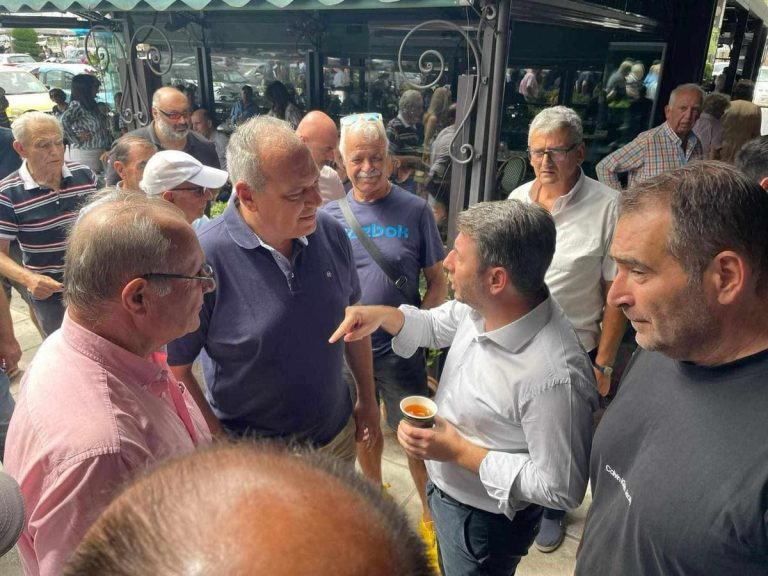 Συνάντηση-του-Προέδρου-του-ΠΑΣΟΚ-–-Κινήματος-Αλλαγής-Νίκου-Ανδρουλάκη,-με-τον-Πρόεδρο-της-ΟΕΒΕ-Ν.-Καβάλας