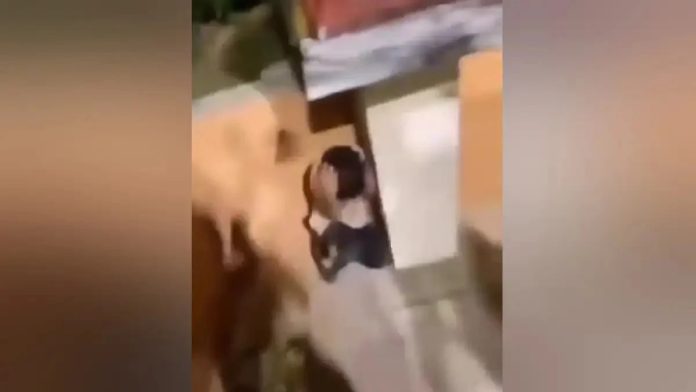 Κομοτηνή:-Παρέμβαση-του-Αρείου-Πάγου-για-το-βίντεο-με-τον-τραμπουκισμό-10χρονου-παιδιού Κομοτηνή:-Παρέμβαση-του-Αρείου-Πάγου-για-το-βίντεο-με-τον-τραμπουκισμό-10χρονου-παιδιού