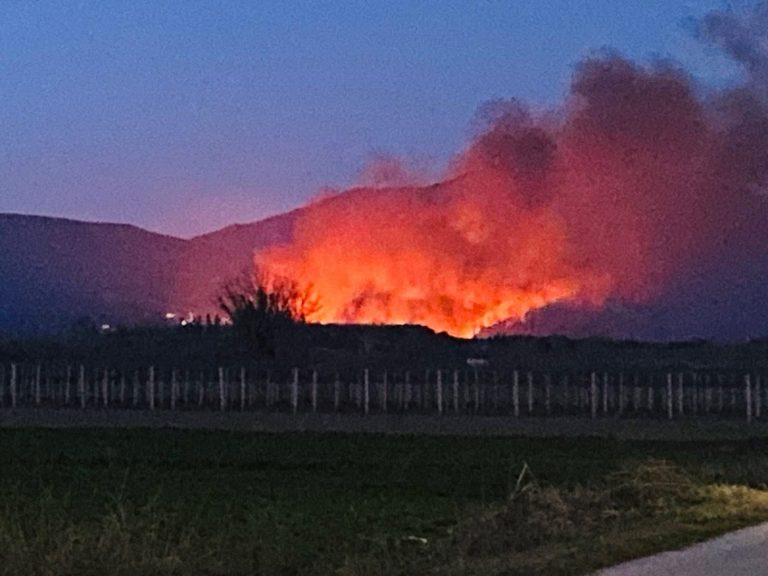 Φωτιά-σε-καλαμιές-στην-περιοχή-του-Ξεριά-–-Άμεση-επέμβαση-της-πυροσβεστικής