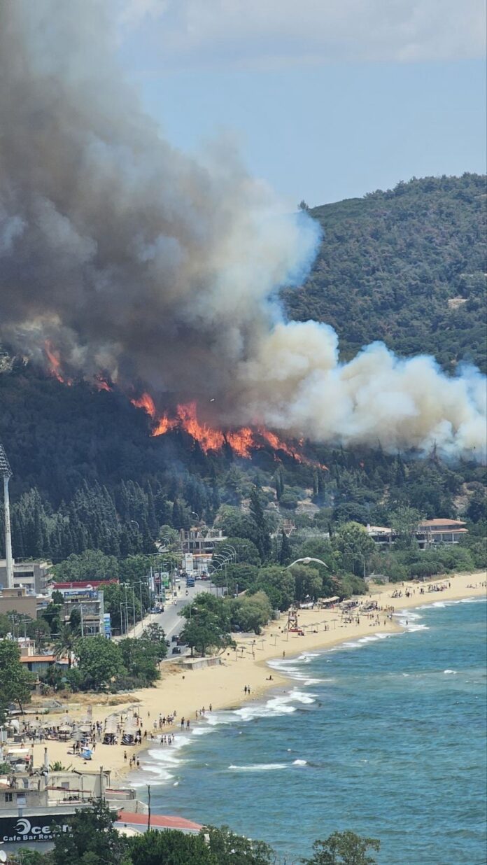 «Μεγάλη-φωτιά-σε-περιαστικό-δάσος-πάνω-από-την-Άσπρη-Άμμο-–-επιχειρούν-επίγειες-και-εναέριες-δυνάμεις»