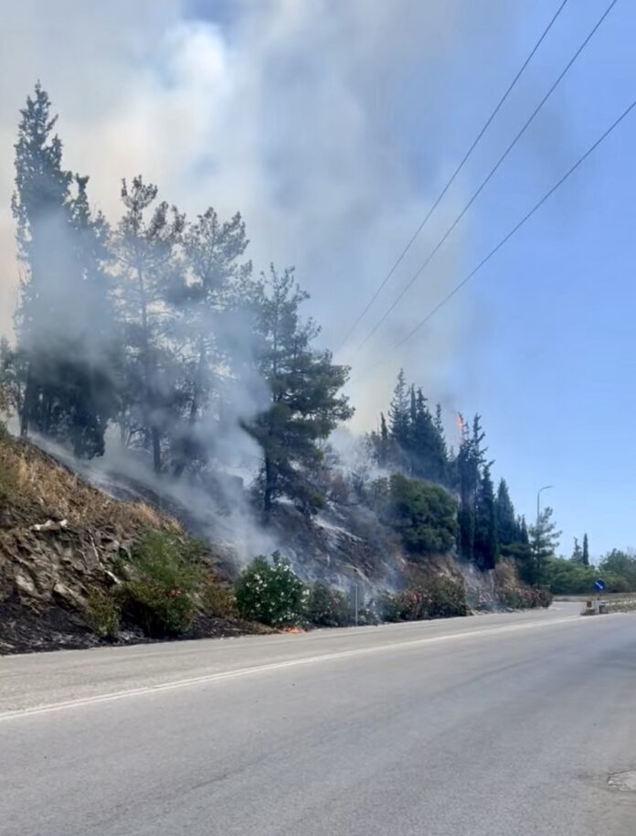 Υπό-έλεγχο-η-φωτιά-στην-Άσπρη-Άμμο-–-Συντονισμένη-επέμβαση-από-πυροσβεστική,-εναέρια-μέσα,-εθελοντές-και-τους-Δήμους-Παγγαίου-και-Νέστου Υπό-έλεγχο-η-φωτιά-στην-Άσπρη-Άμμο-–-Συντονισμένη-επέμβαση-από-πυροσβεστική,-εναέρια-μέσα,-εθελοντές-και-τους-Δήμους-Παγγαίου-και-Νέστου