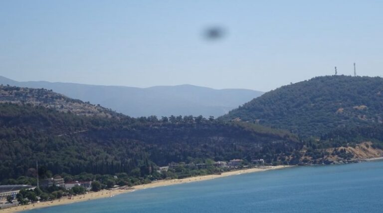 «Αναδασωτέα-είναι-η-καμένη-έκταση-στο-δάσος-στο-Περιγιάλι»-δηλώνει-ο-Δασάρχης-Καβάλας