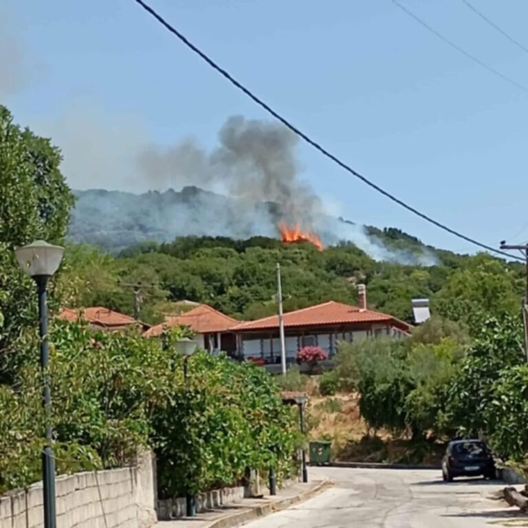 Φωτιά-στο-Χρυσόκαστρο-Παγγαίου-–-Εναέρια-και-ισχυρή-επίγεια-δύναμη-στη-μάχη-με-τις-φλόγες