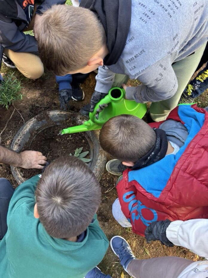 Συμβολική-φύτευση-στο-Δημοτικό-Σχολείο-Φιλίππων-από-την-Περιφέρεια-ΑΜΘ-για-την-ενίσχυση-της-οικολογικής-συνείδησης-των-μαθητών