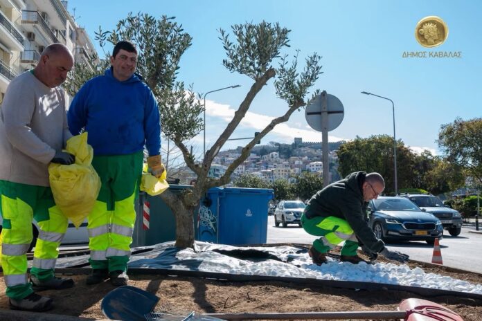 Συντήρηση-και-ανάπλαση-μικρών-χώρων-πρασίνου-στην-Καβάλα Συντήρηση-και-ανάπλαση-μικρών-χώρων-πρασίνου-στην-Καβάλα