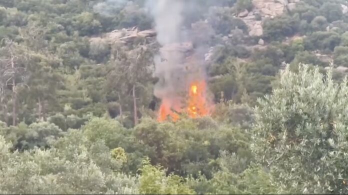 Φωτιά-εκδηλώθηκε-στον-οικισμό-των-Ελευθερων-λίγο-πριν-την-είσοδο