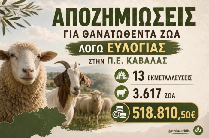 Μακάριος-Λαζαρίδης:-Άμεσα-οι-αποζημιώσεις-άνω-των-518.000-ευρώ-στους-κτηνοτρόφους-της-Καβάλας
